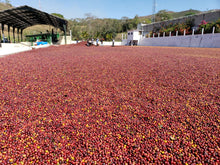 GUATEMALA Santa Rosa El Boqueron ESPRESSO