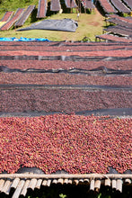ETHIOPIA Gara Agena FILTER