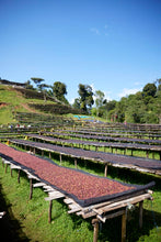 ETHIOPIA Gara Agena FILTER