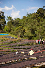 ETHIOPIA Gara Agena FILTER