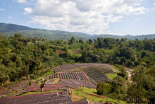 ETHIOPIA Gara Agena FILTER