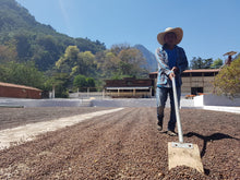 GUATEMALA Santa Rosa El Boqueron ESPRESSO