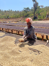 ETHIOPIA Guji Harosema FILTER