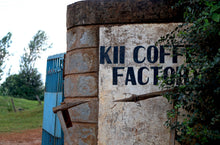 KENYA AA Kii Rungeto | LIMITED EDITION